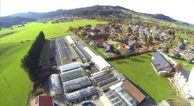 Luftaufnahme aus Osten