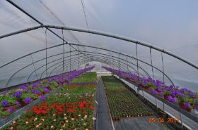DSC_0279.JPG